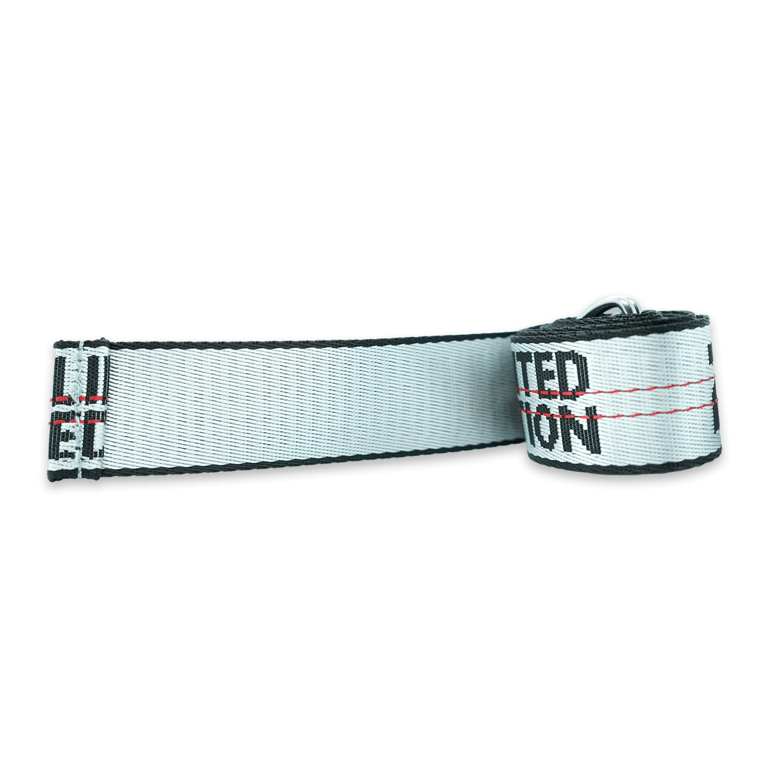 Limited Edition Belt (Silver) - FKN Rich