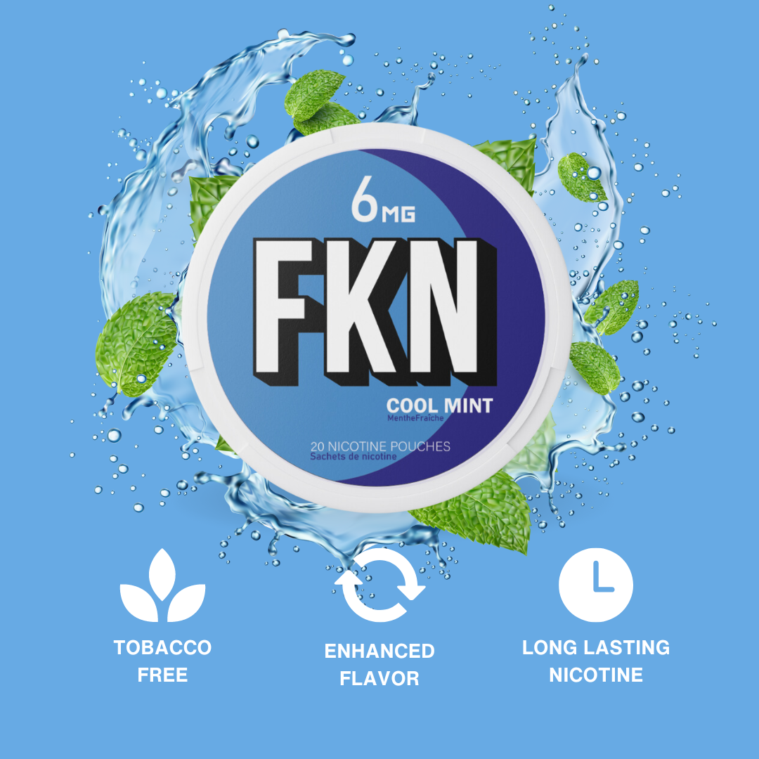 FKN Nic Pouches (Cool Mint) 6MG